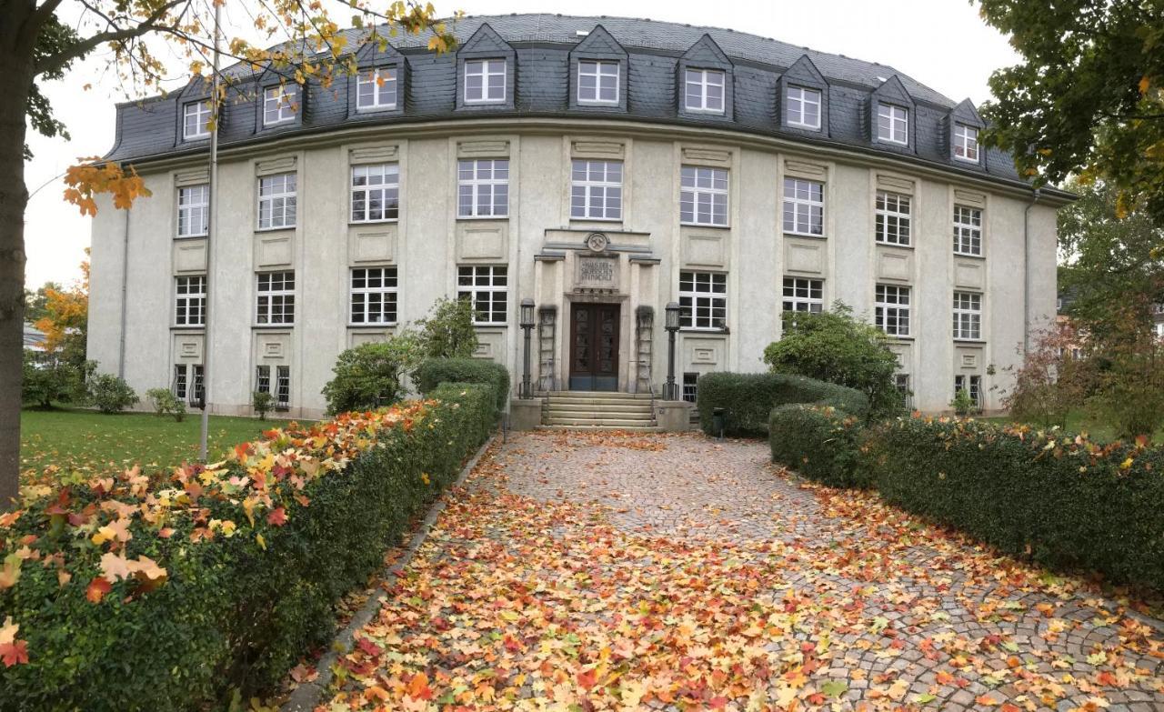 "Glueck Auf" Lichtdurchflutete Schicke Ferienwohnung In Zwickau Eksteriør billede