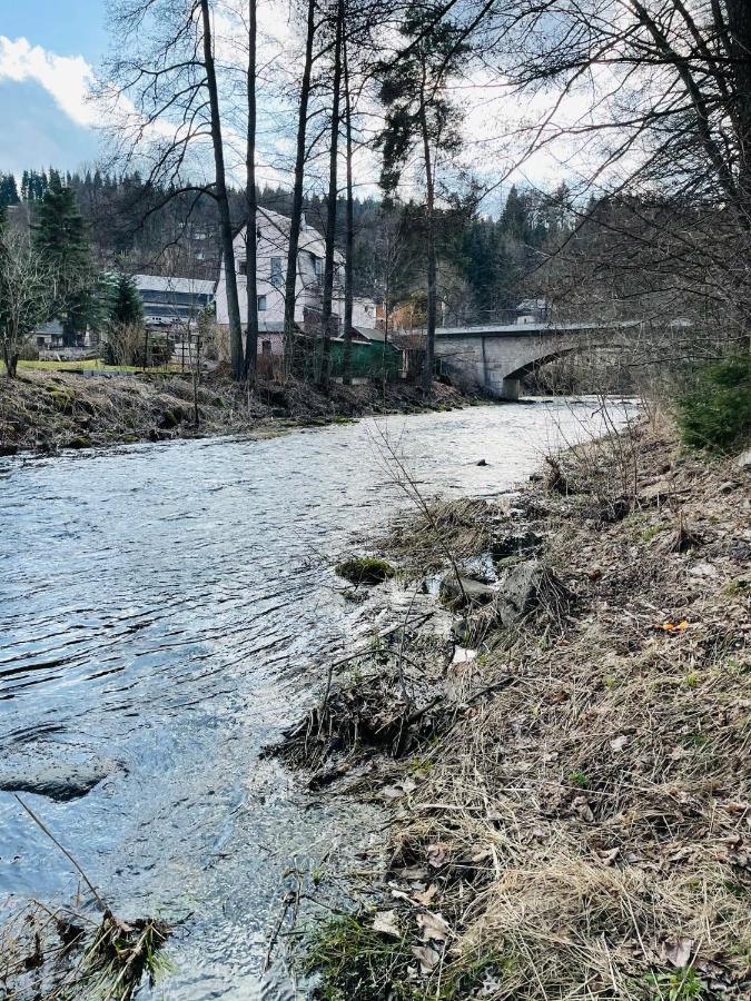 "Glueck Auf" Lichtdurchflutete Schicke Ferienwohnung In Zwickau Eksteriør billede